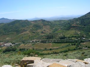 A view of the countryside from Segesta