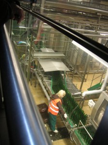 The bottle lines at the packaging plant