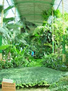 Ledniceintglasshouse1