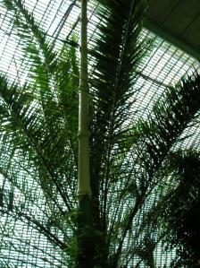 Ledniceintglasshouse11