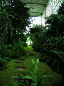 Ledniceintglasshouse9