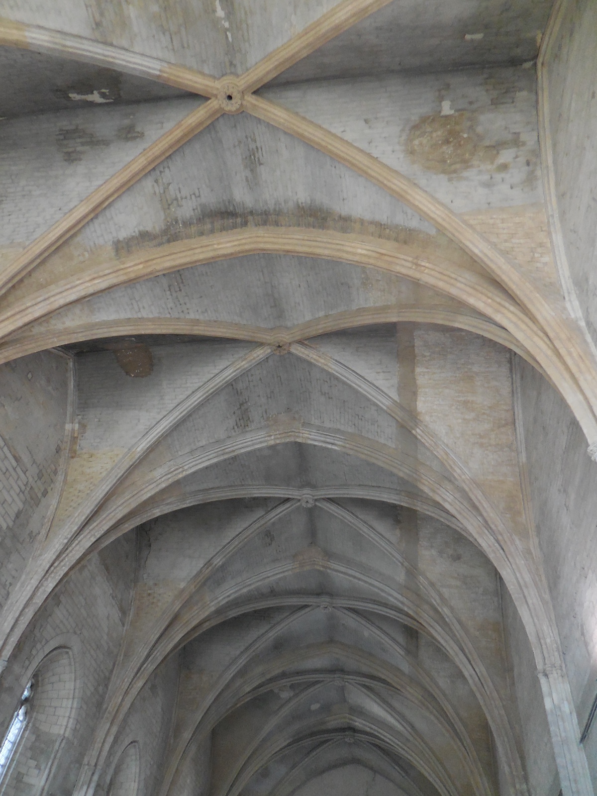 AvignonPetitPalaisceiling1