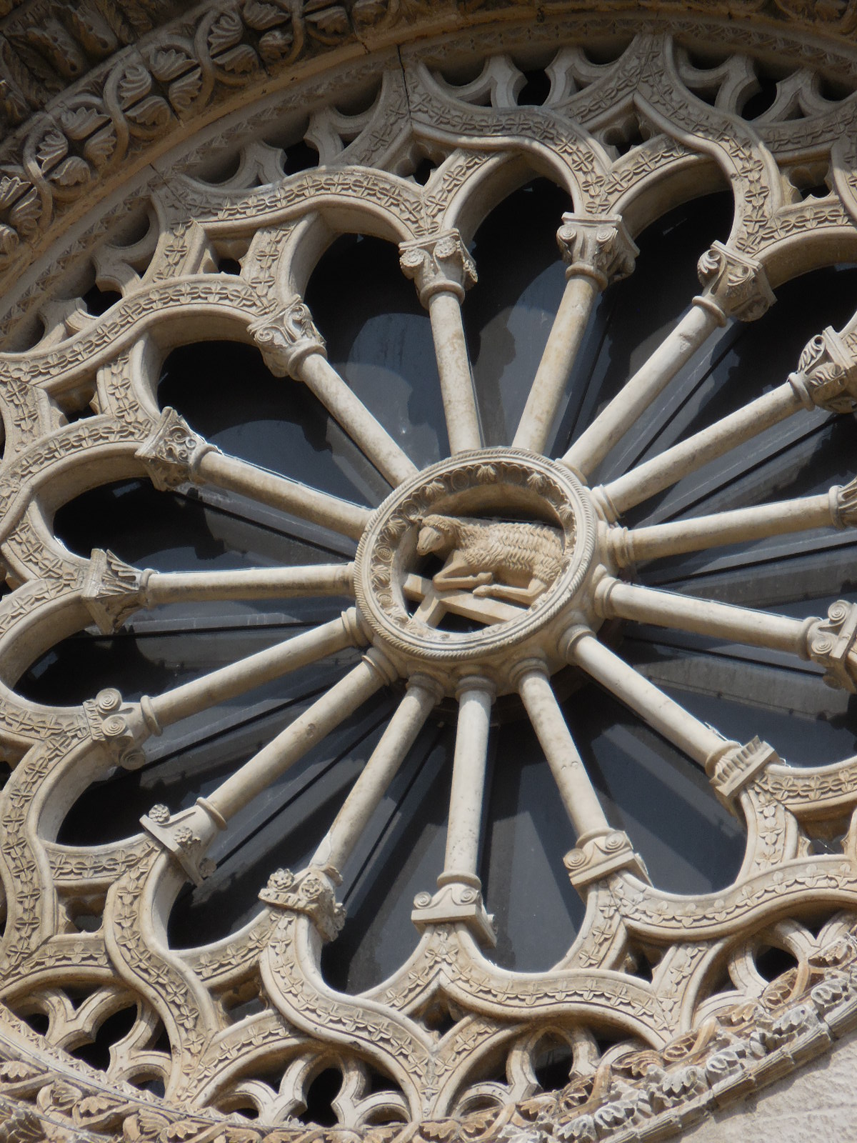 PUGLIAAltamuracathrosette2