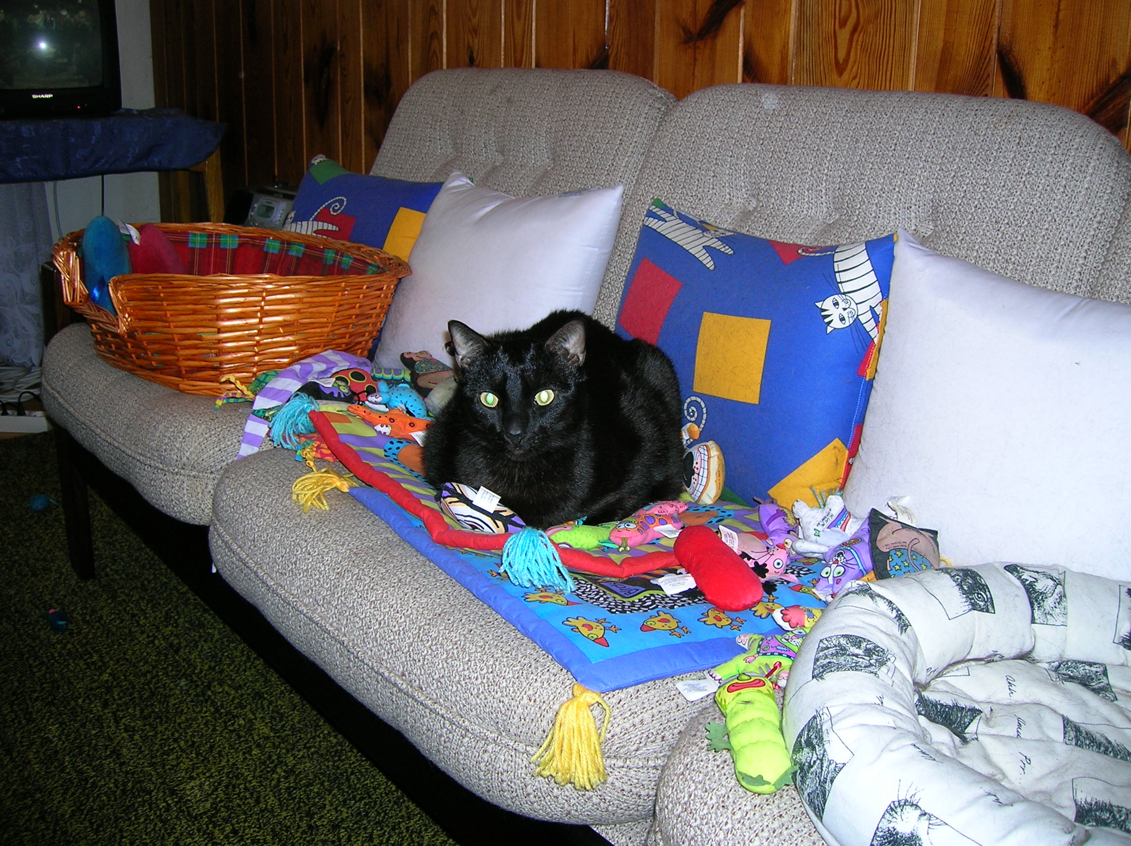 Bohous on boogie-mat 2