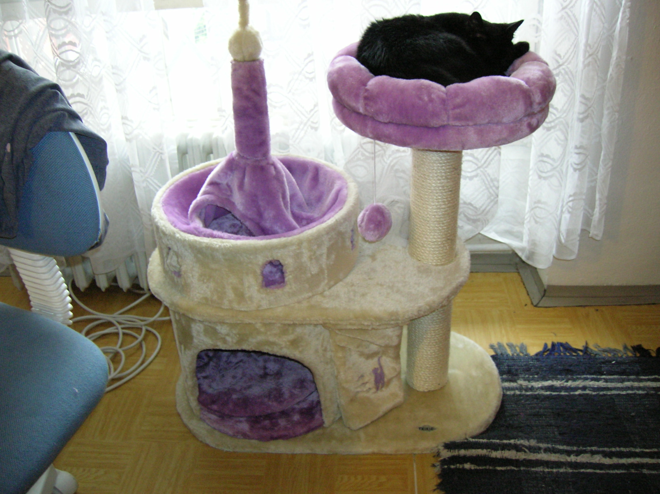 Sarlotaoncastletower