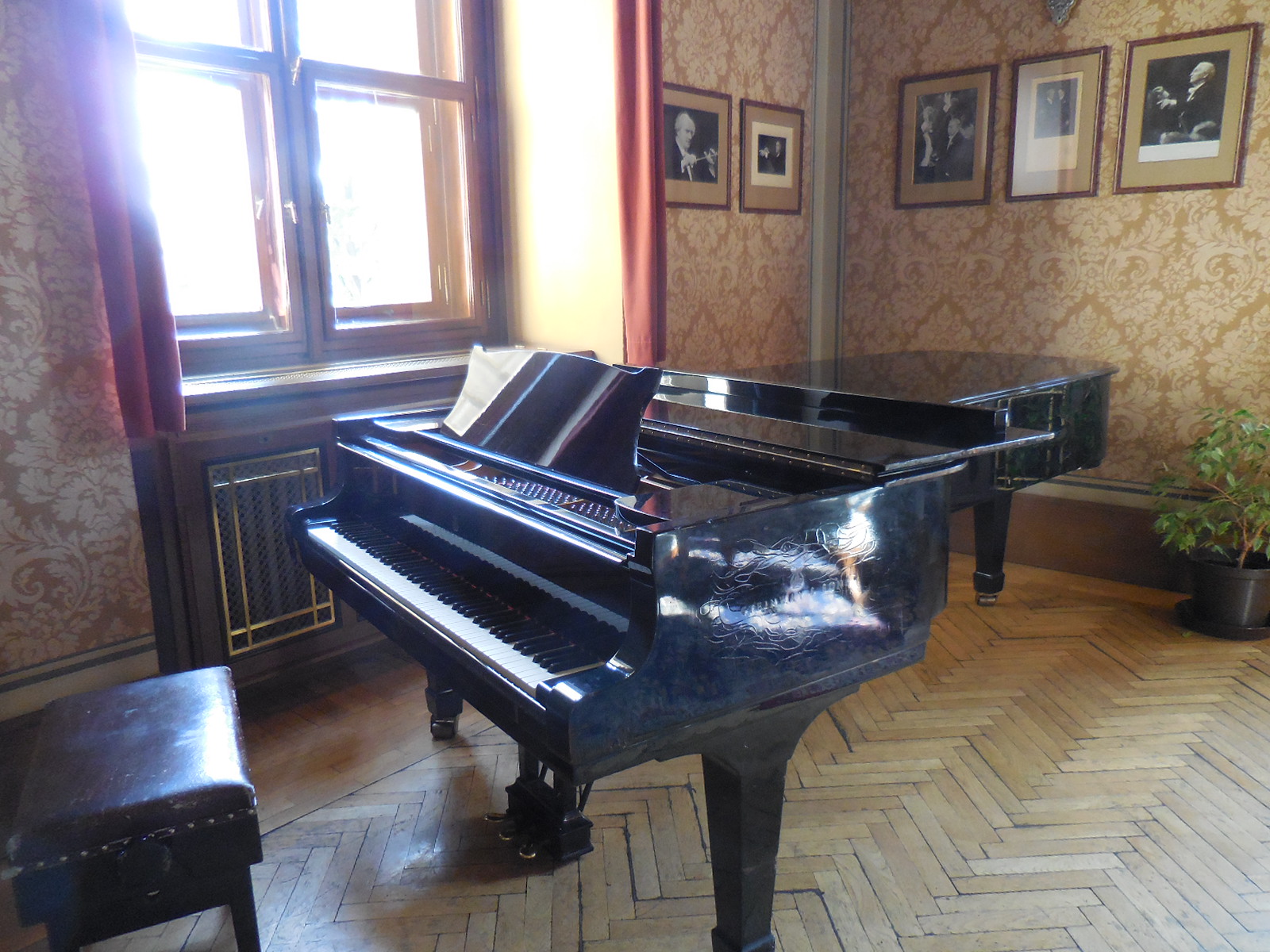 Rudolfinumconductorrm4