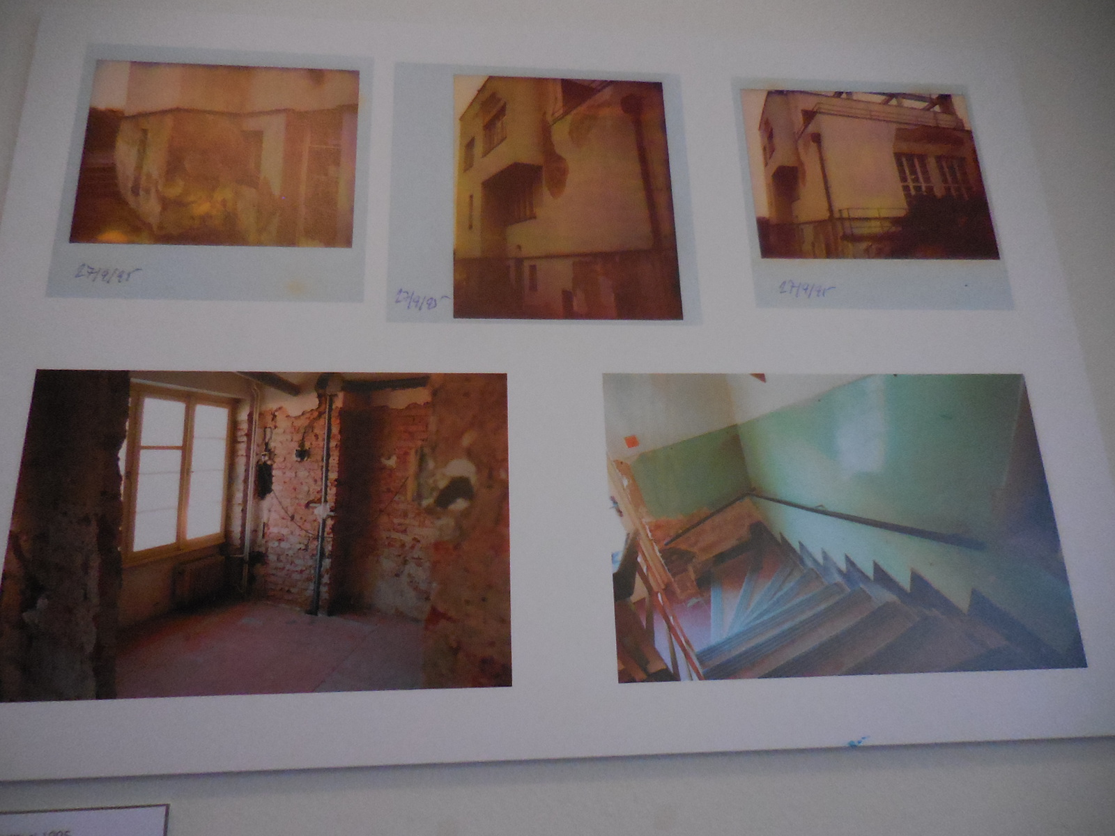 Winternitzintphotos3