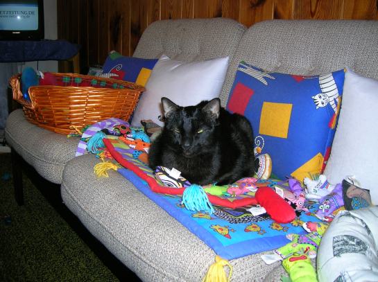 Bohous on boogie-mat