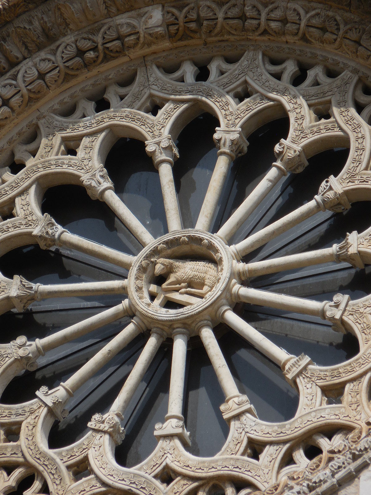 PUGLIAAltamuracathrosette3