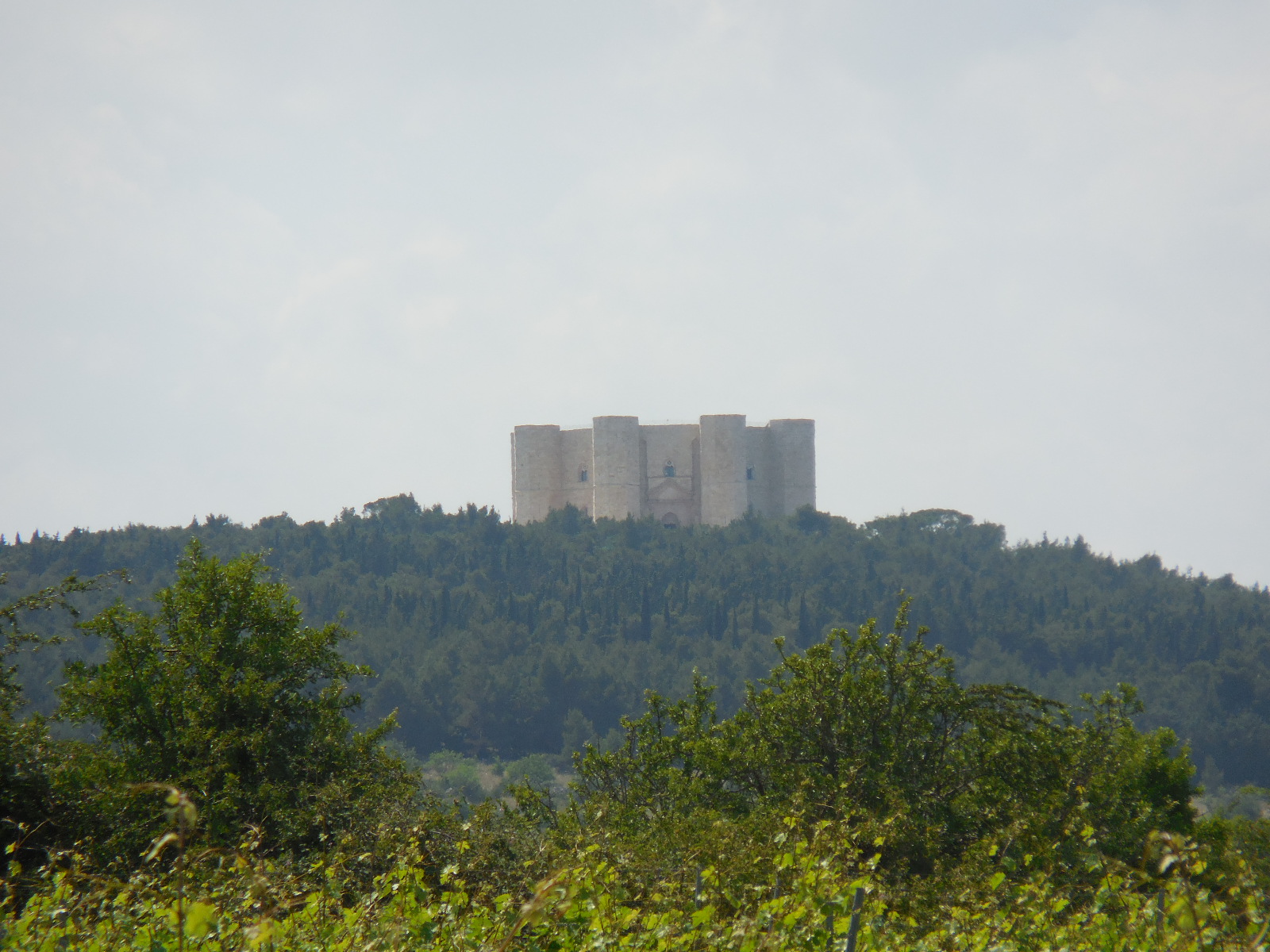 PUGLIACasteldelMonte2