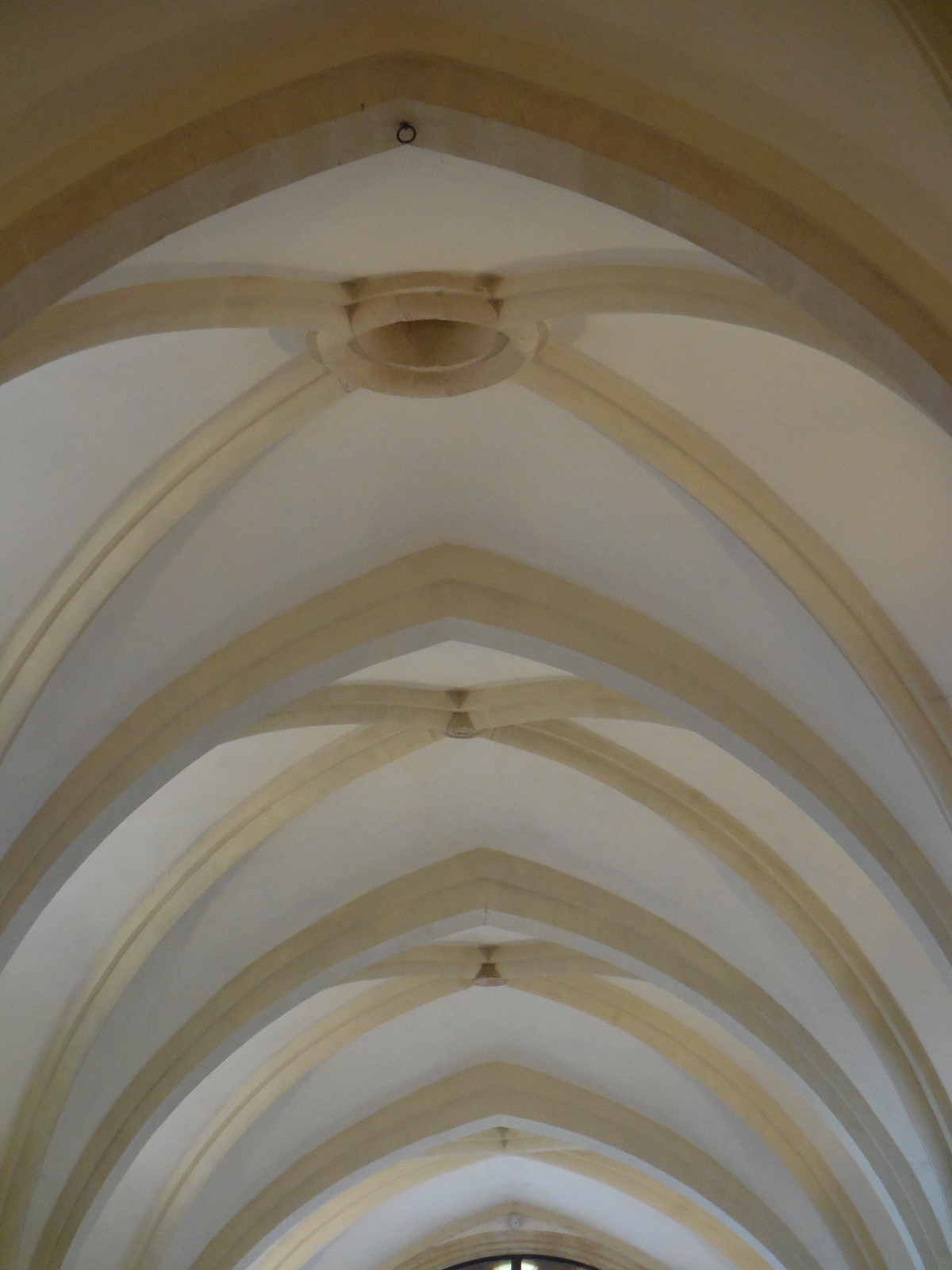 VicenzaSantaCoronaint17