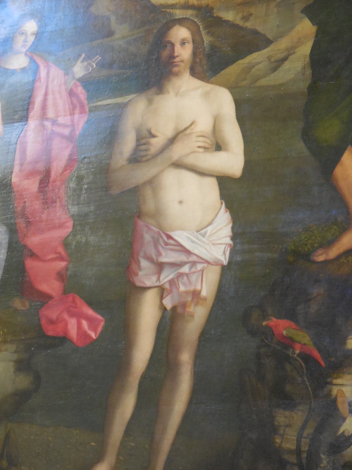 VicenzaSantaCoronaint22