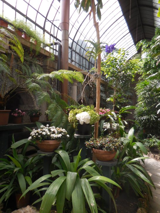 IsolaBellagreenhouse1