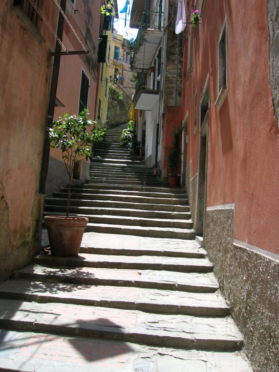 Cinque Terre street 1
