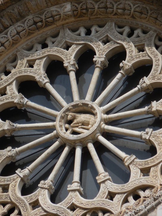 PUGLIAAltamuracathrosette3