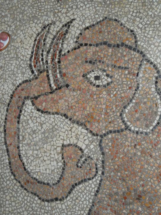 PUGLIAOtrantocathfloor5